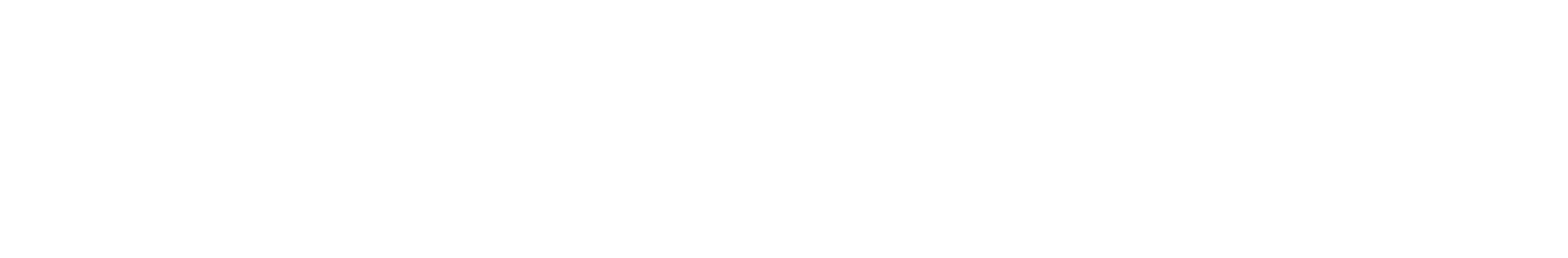 CMMI Level 3 Service Logo
