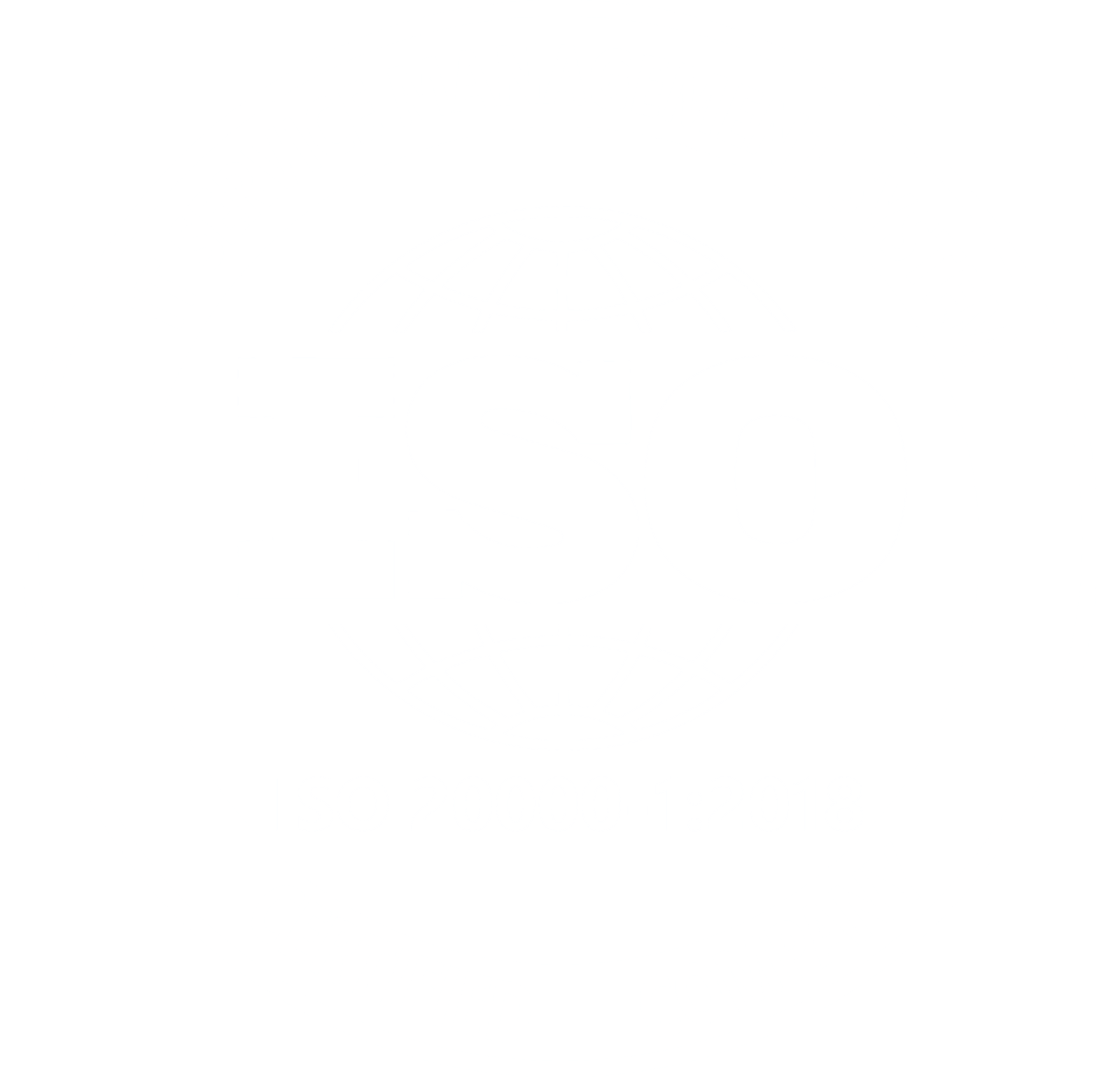 ISO 20000-1 Certified Company