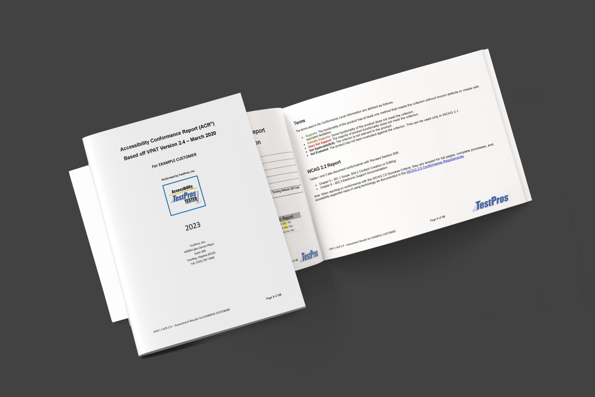 vpat template to reach vpat compliance