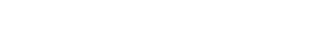 CMMI Level 3 Services appraisal logo