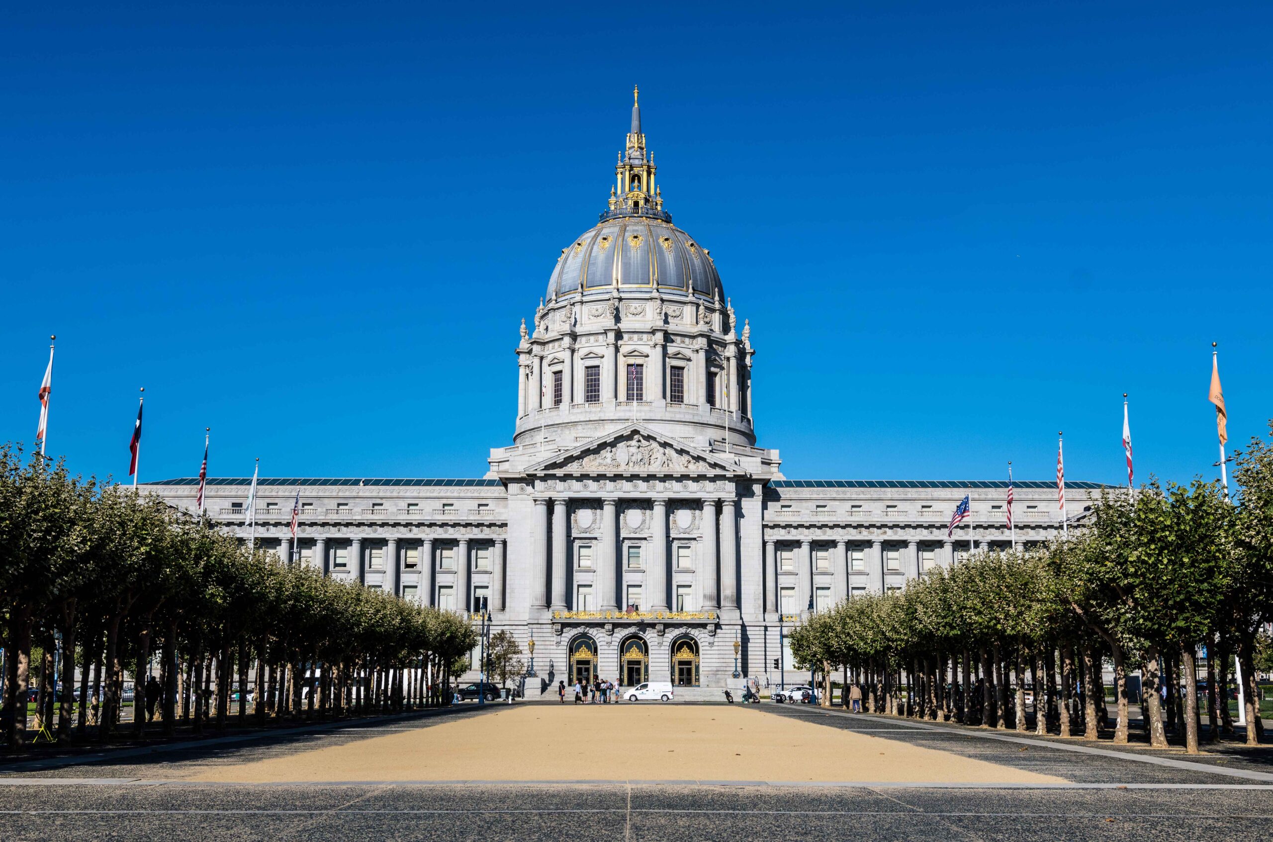 San Francisco, CA City Hall with a walk way of trees and a blue sky in the background